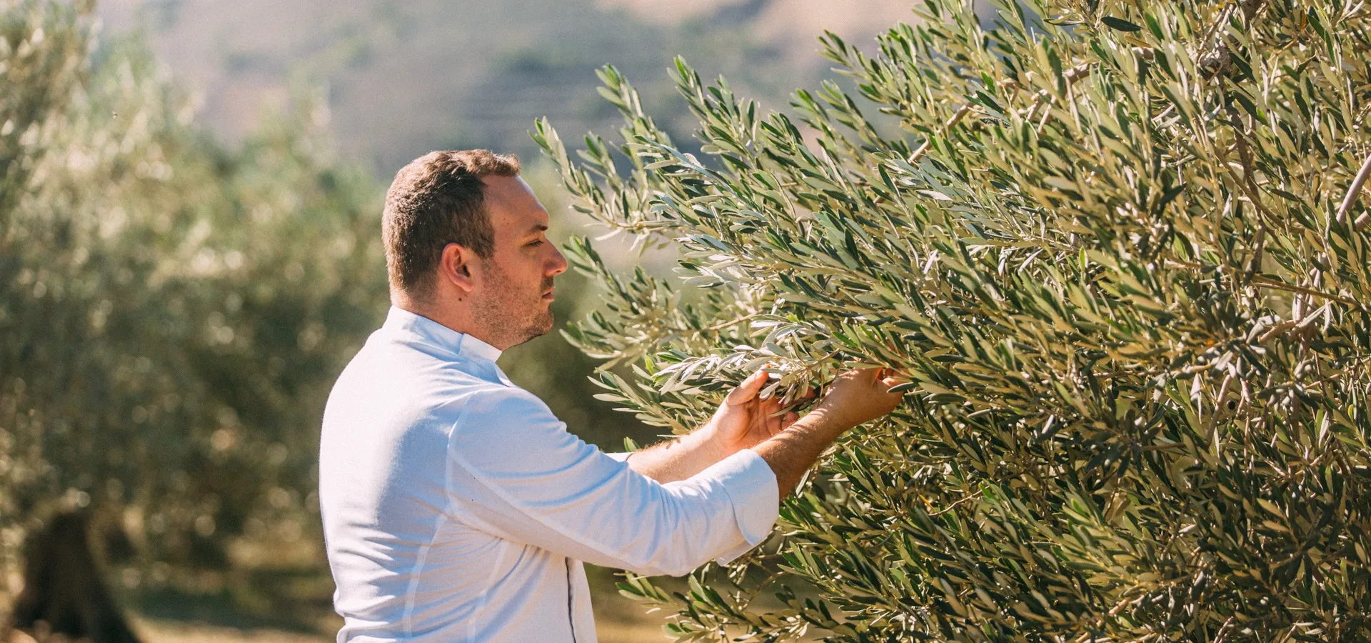 Sustainability of Makris Athens Restaurant