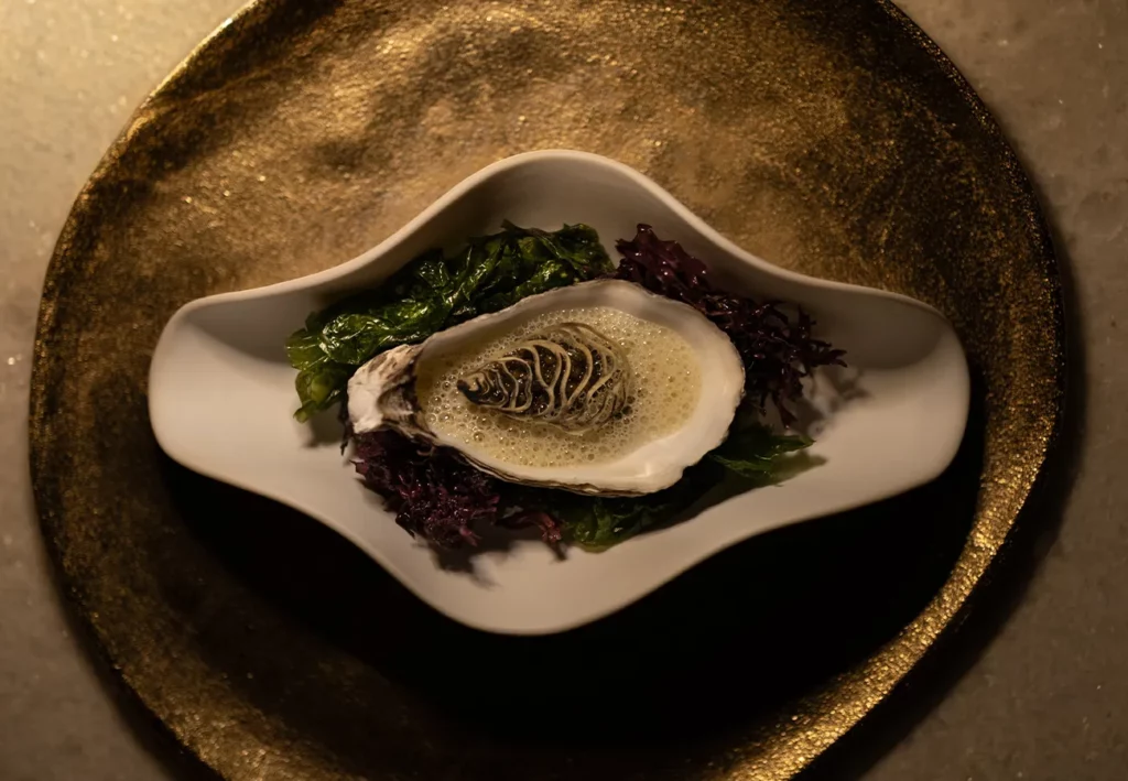 Night of Culinary Dialogue